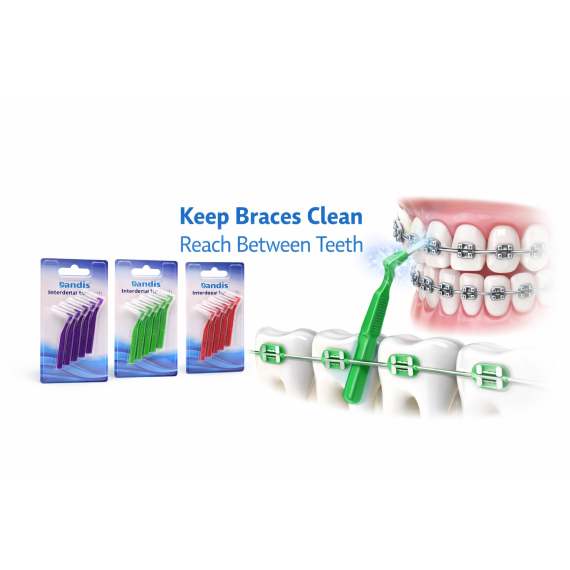 دانديس - فراشي تقويم - 5 قطع